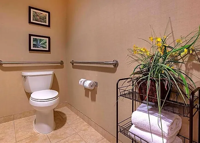 Comfort Goodyear-west Phoenix 4* Goodyear